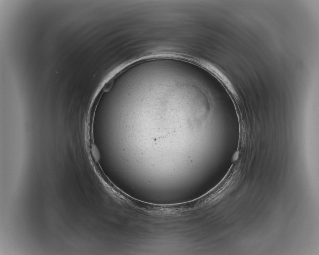 X0000116811101200912241216