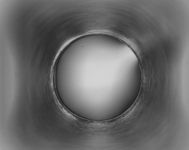 X0000116811102200912241216