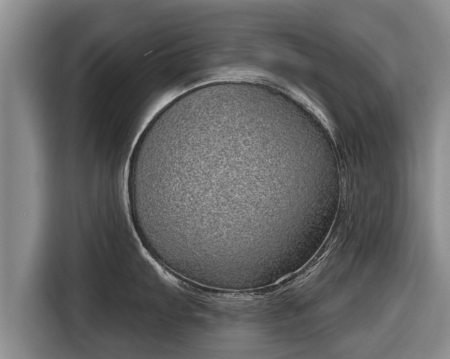 X0000116811103200912241216