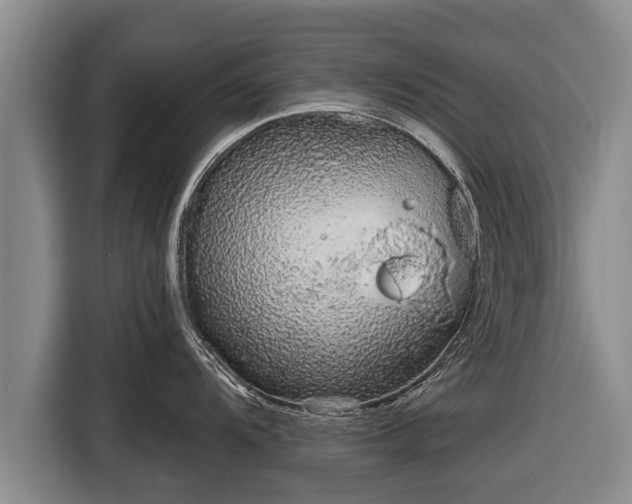 X0000116811104200912241216