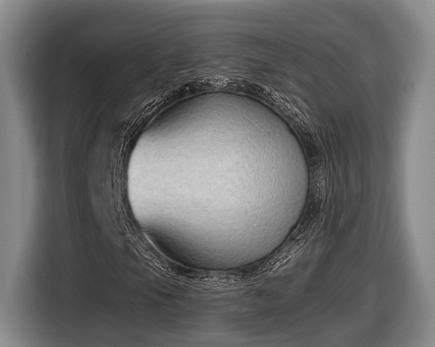 X0000116811105200912241215