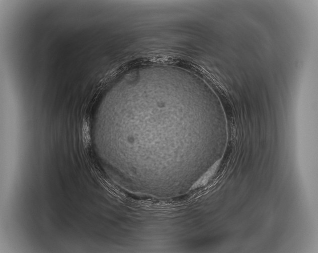 X0000116811106200912241215