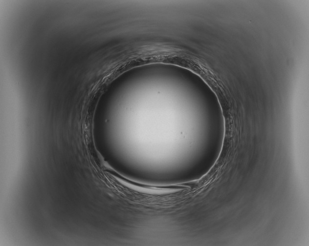 X0000116811109200912241215