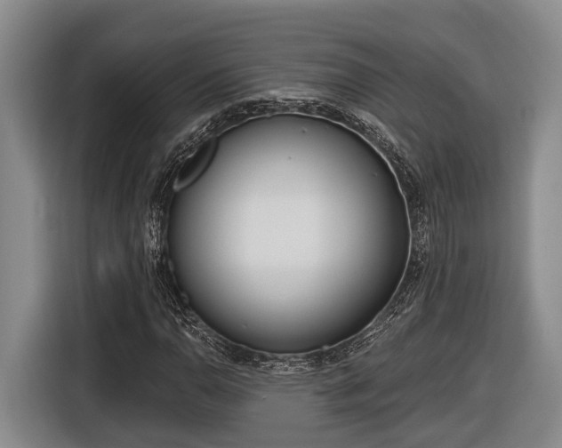 X0000116811110200912241215