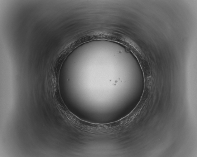 X0000116811111200912241215