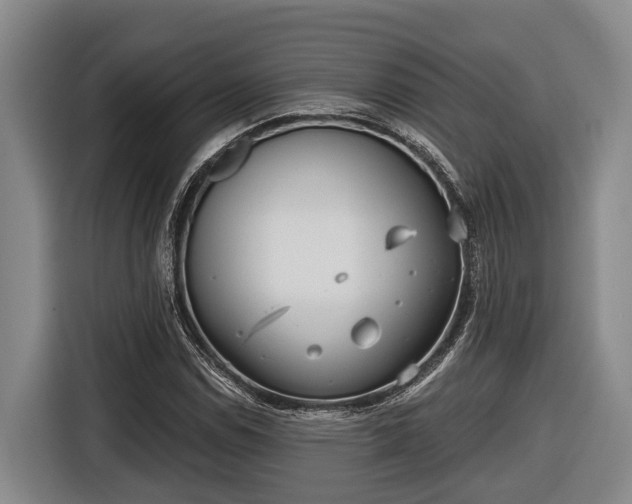 X0000116811114200912241215