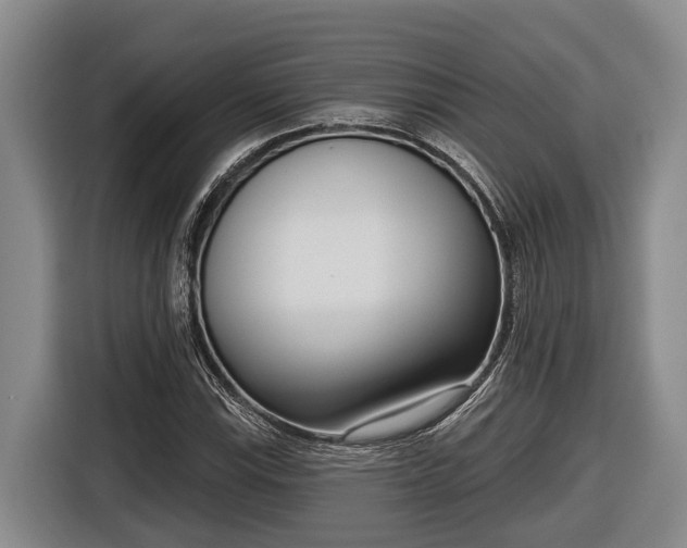 X0000116811115200912241215