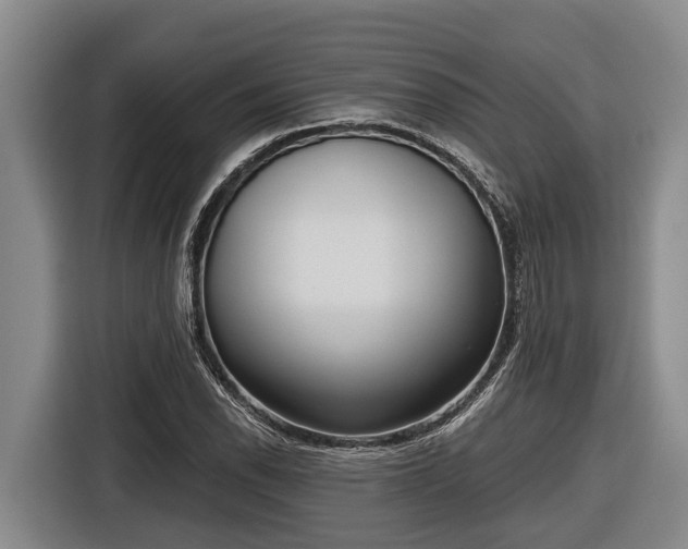 X0000116811118200912241215