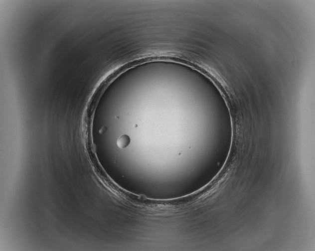 X0000116811119200912241215