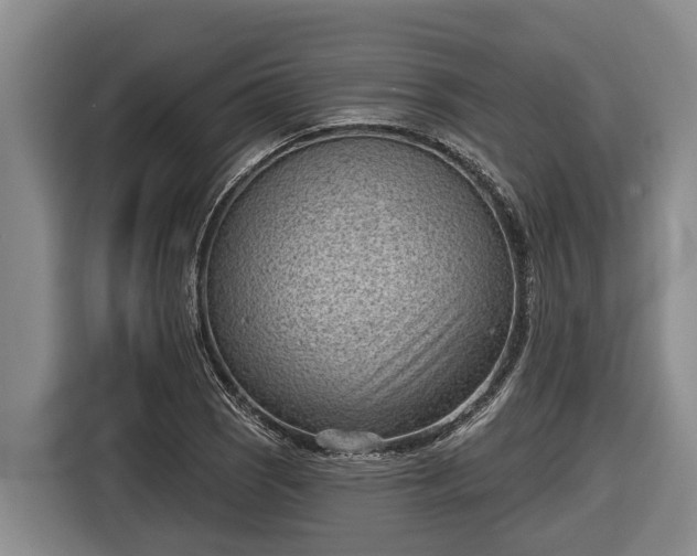 X0000116811121200912241215