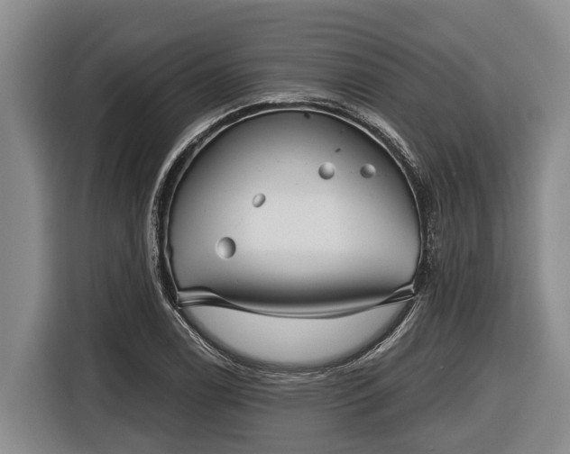 X0000116811122200912241215