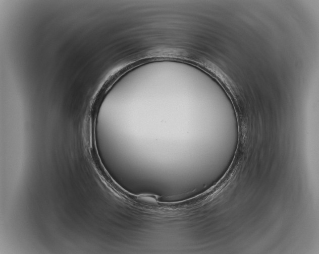 X0000116811123200912241215