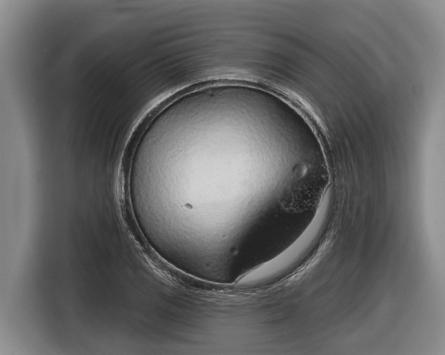 X0000116811125200912241215