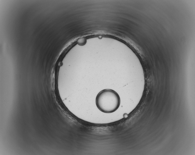 X0000116811126200912241216