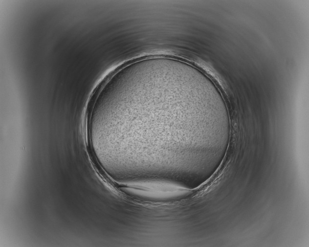 X0000116811127200912241216