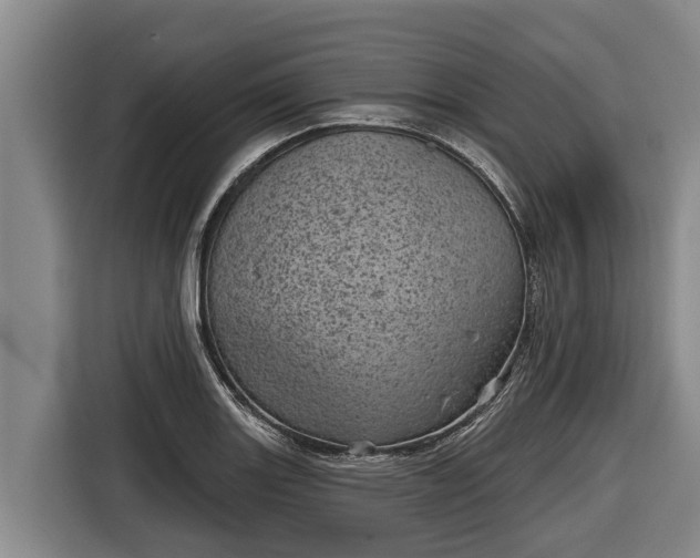 X0000116811131200912241216