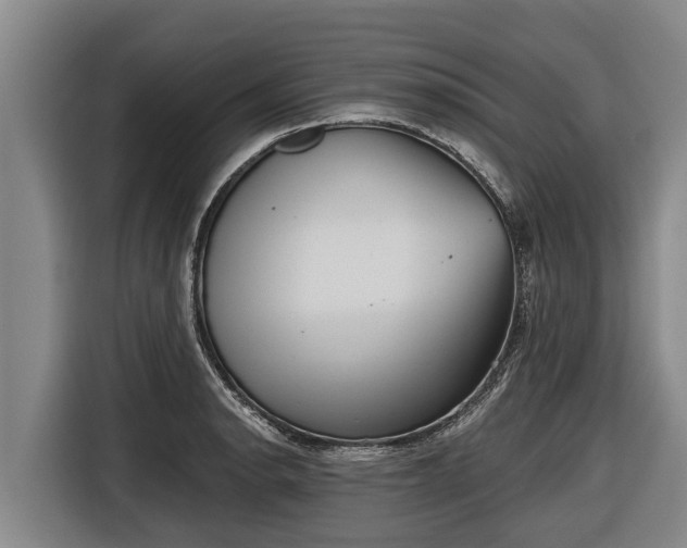 X0000116811134200912241216