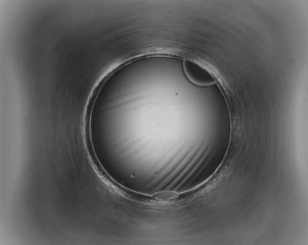 X0000116811135200912241216