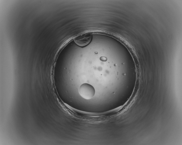 X0000116811137200912241216