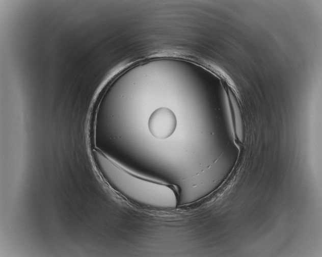 X0000116811138200912241216