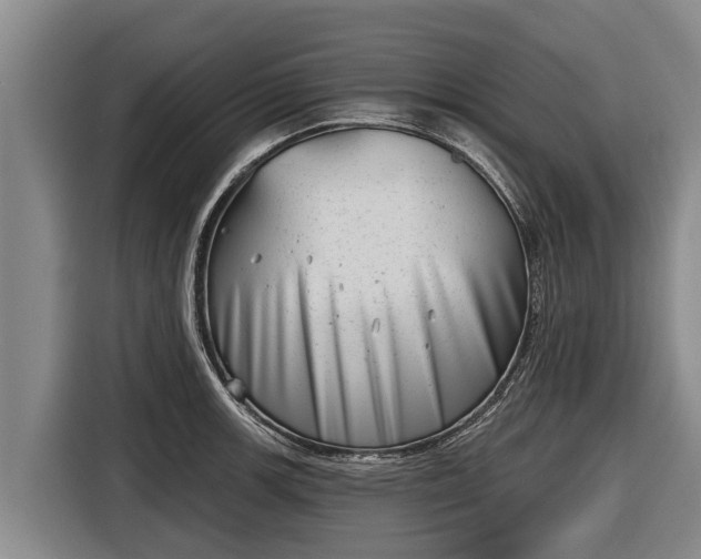 X0000116811139200912241216