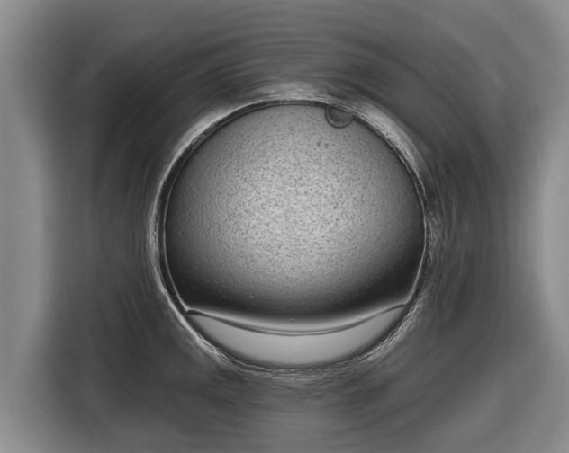 X0000116811141200912241216