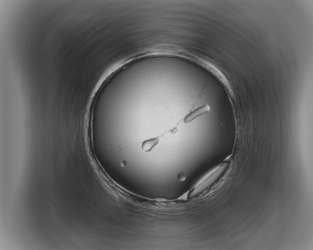 X0000116811146200912241216