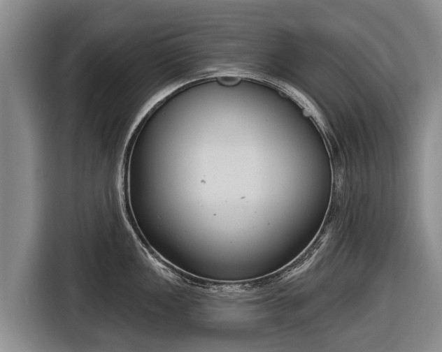 X0000116811149200912241216