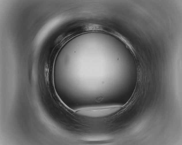 X0000116811151200912241216