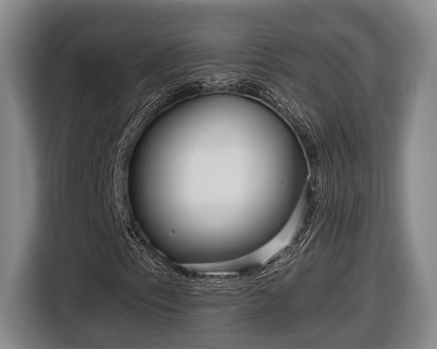 X0000116811153200912241215