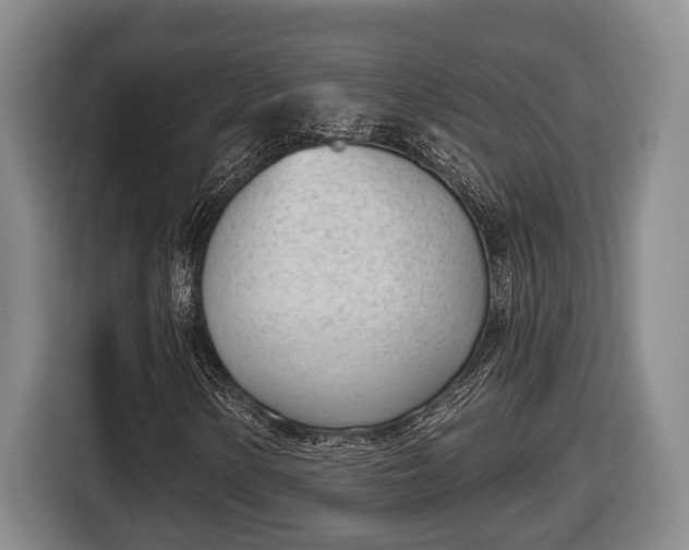 X0000116811154200912241215