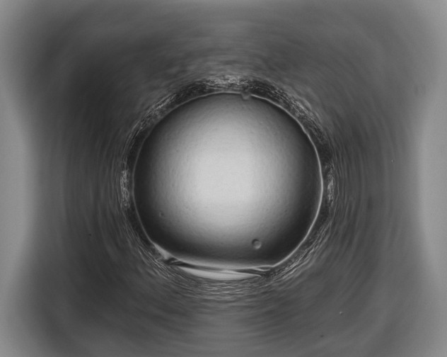 X0000116811156200912241215