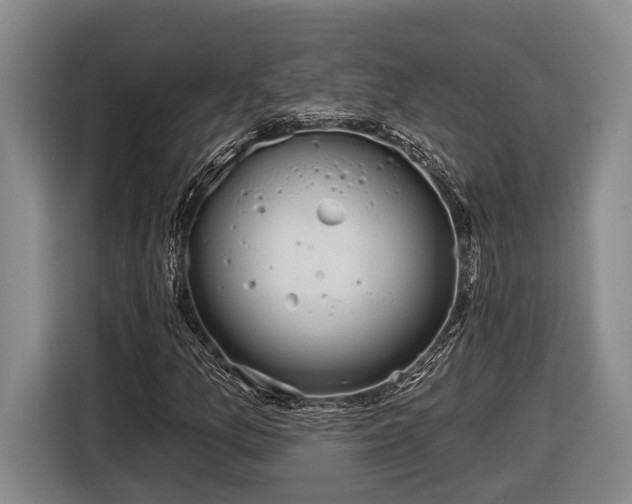 X0000116811157200912241215