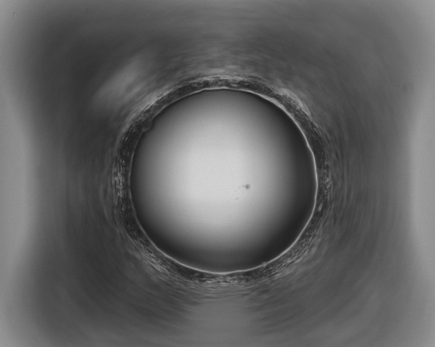 X0000116811159200912241215