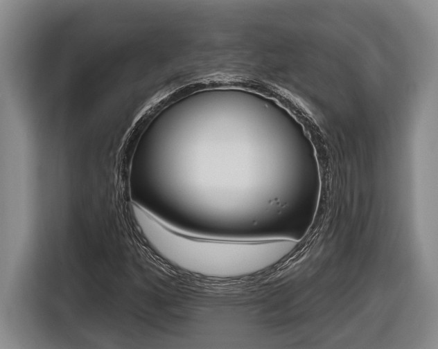 X0000116811160200912241215