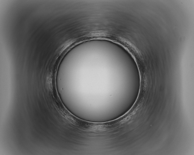 X0000116811162200912241215