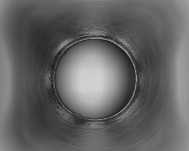 X0000116811163200912241215