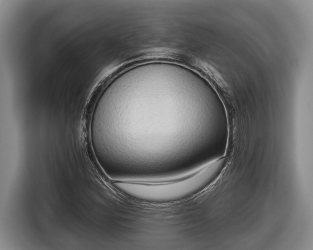 X0000116811164200912241215