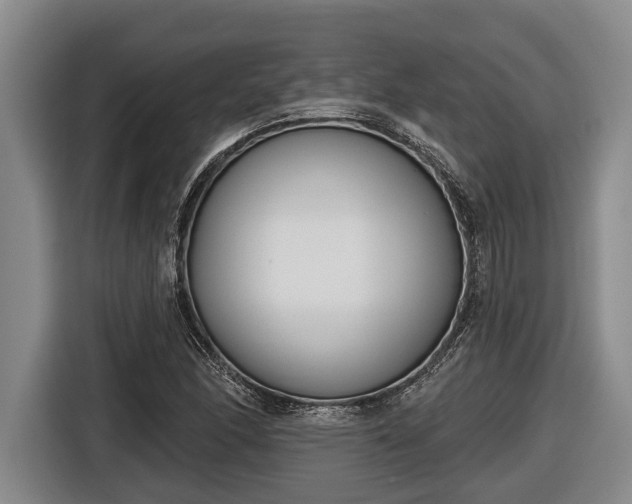 X0000116811166200912241215