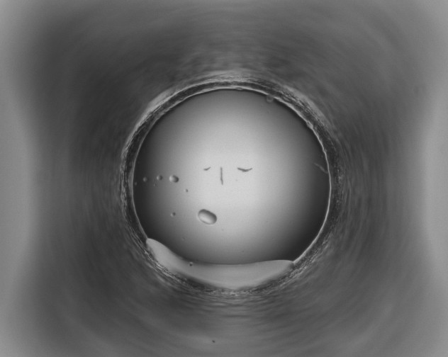 X0000116811168200912241215