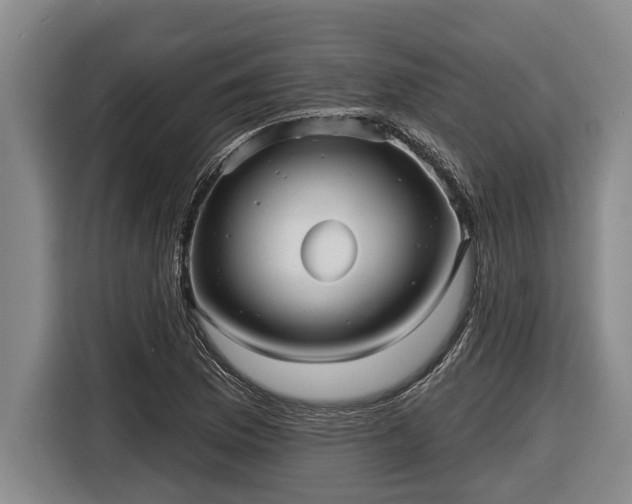 X0000116811169200912241215