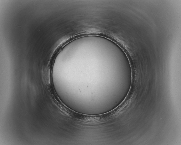 X0000116811171200912241215