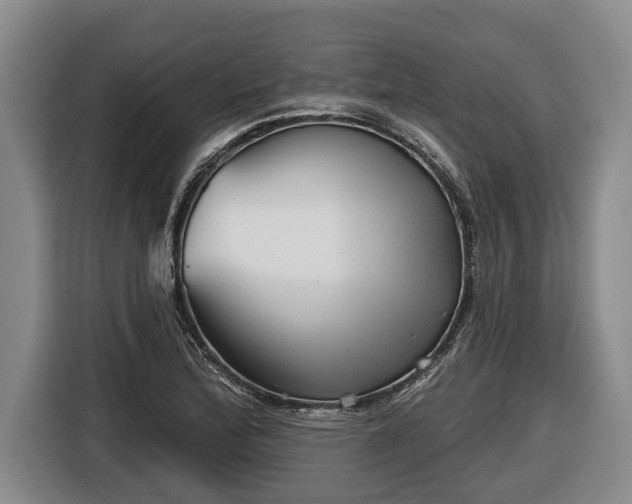 X0000116811172200912241215