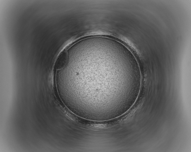 X0000116811173200912241215