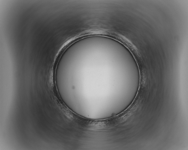 X0000116811174200912241215