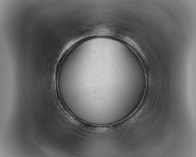 X0000116811176200912241215