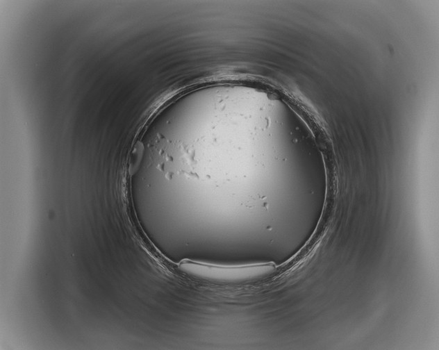 X0000116811177200912241215