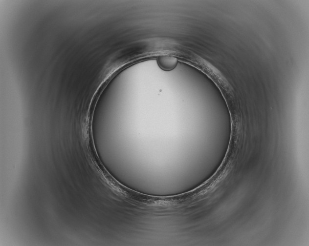 X0000116811178200912241215