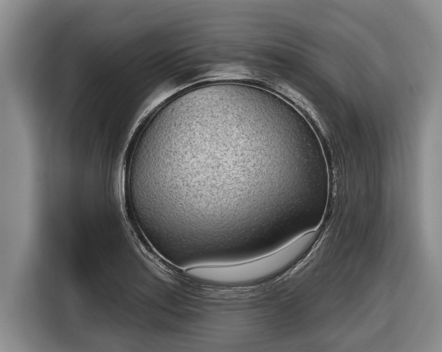 X0000116811179200912241215