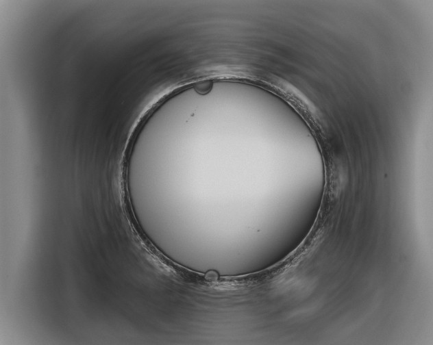 X0000116811182200912241215